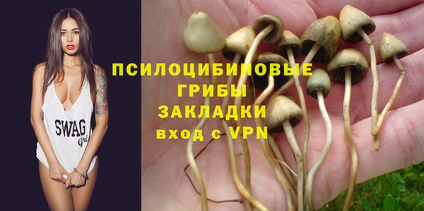 apvp Липки