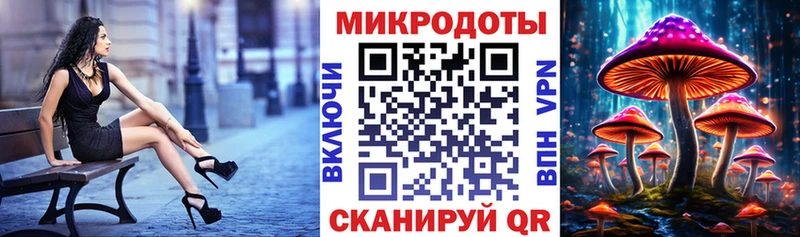 Псилоцибиновые грибы Psilocybe сколько стоит Усть-Кут
